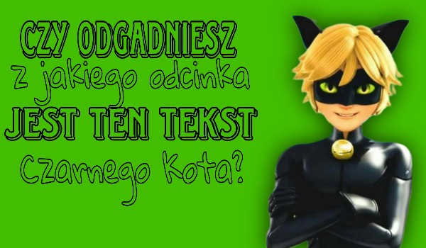 Czy odgadniesz z jakiego odcinka jest ten tekst Czarnego Kota?