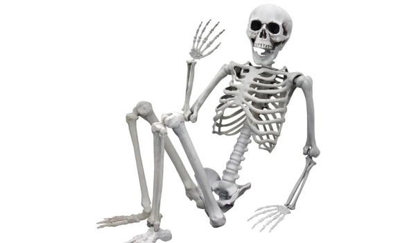 Jaką kością jesteś?