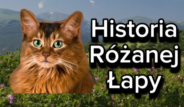 Historia Różanej Łapy
