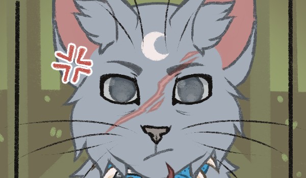 Czy rozpoznasz imiona tych kotów???