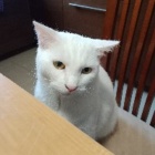 ZukiZoy