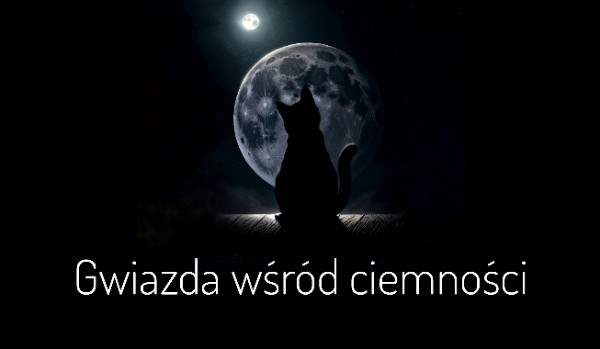 Gwiazda wśród ciemności – rozdział 1