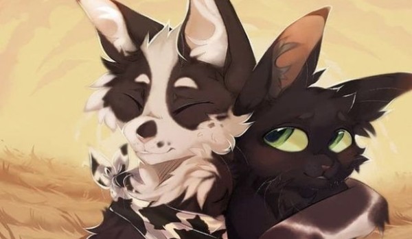 Czy podobają ci się te  okładki książek z serii wojownicy?