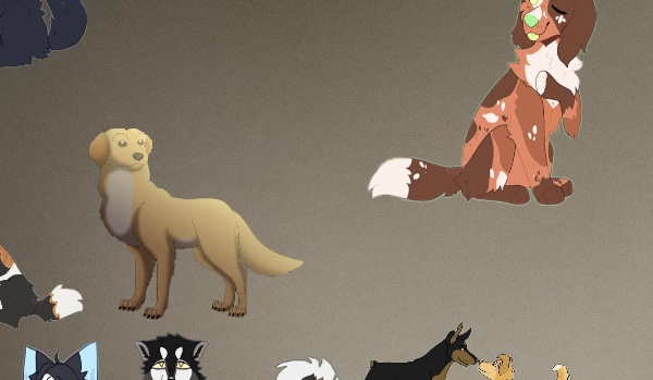 Jakim był byś psem gdybyś żył w świecie Sfory?