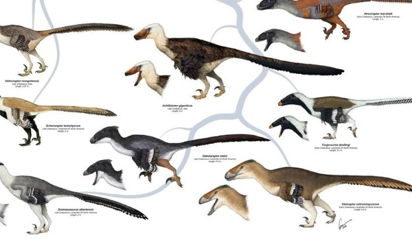 czy odgadniesz dinozaury