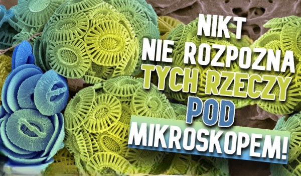 Nikt nie rozpozna tych rzeczy pod mikroskopem?
