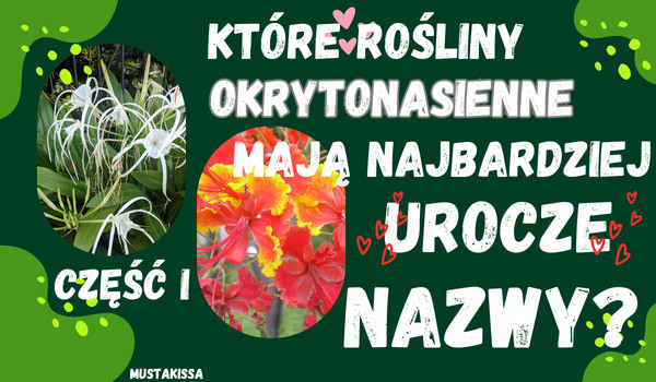 Które rośliny okrytonasienne mają najbardziej urocze nazwy? (część I)