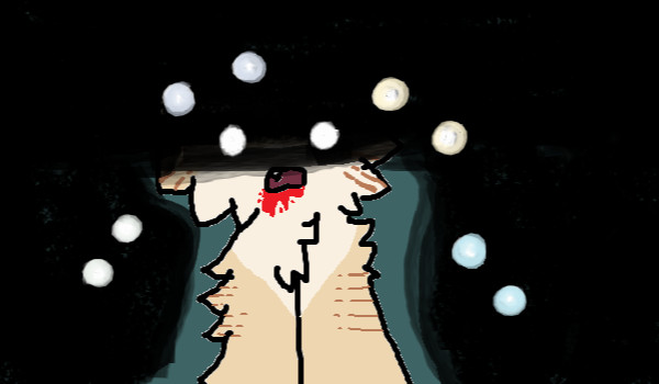 TurtlePaw’s tragedy – part 2/2