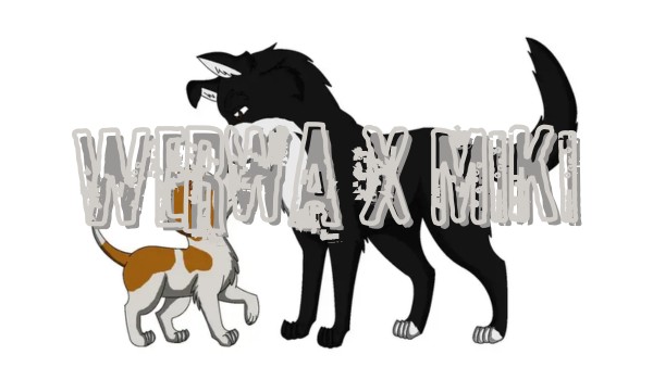 Ocenianie shipów ze SFORY! ~Werwa x Miki~