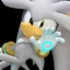 silver6z