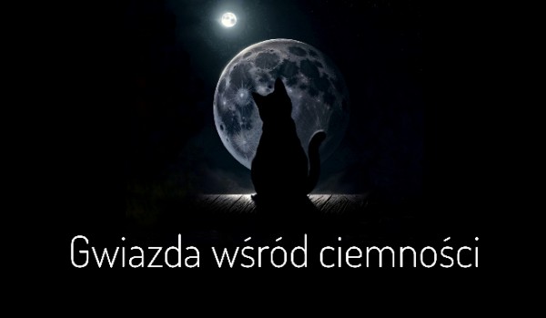 Gwiazda wśród ciemności – rozdział 20