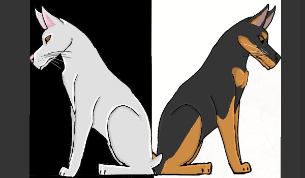 Biały i czarny doberman – 5