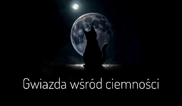 Gwiazda wśród ciemności – rozdział 15