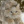 Geo.0n_Pawzz