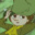Snufkin123