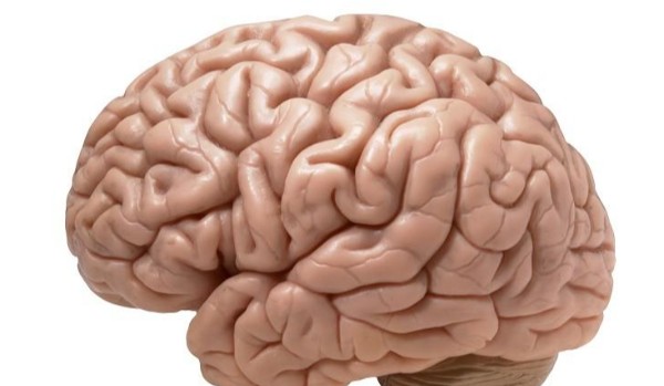 Jakim debilem jesteś?