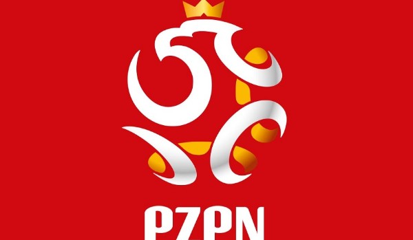 economic knowledge about PZPN