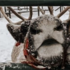 .bajka_na_koncu_swiata.