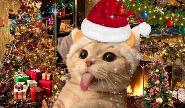 Prezenty od Was cz. 4