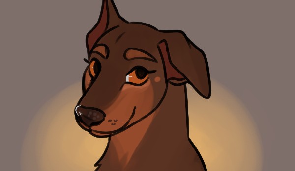 Ocenianie shipów ze SFORY! ~Nawałnica x Grot~