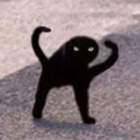 uwukibel2137