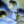moonstar67