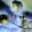 moonstar67