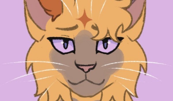 ,, Sekret Lawendowej Gwiazdy „