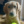 LilDoggy