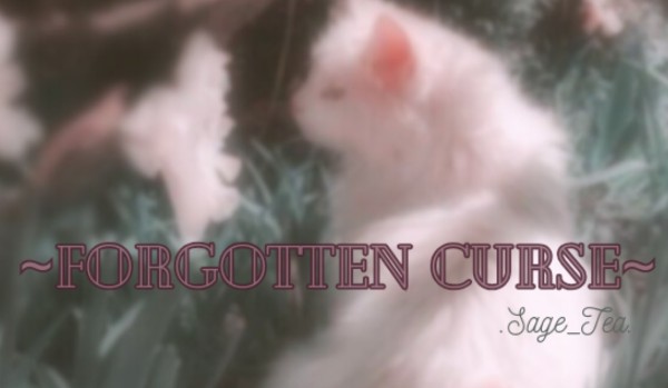 𓇗~Forgotten Curse~𓇗 — Prolog.