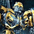 bumblebee_TRF