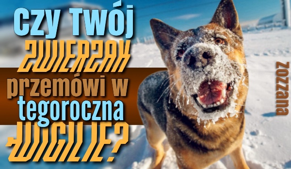 Czy Twój zwierzak przemówi ludzkim głosem o północy w tegoroczną Wigilię?