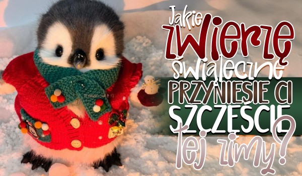 Jakie zwierzę świąteczne przyniesie Ci szczęście tegorocznej zimy?