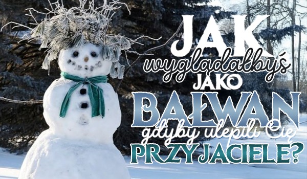 Jak wyglądałbyś jako bałwan, gdyby zbudowali Cię Twoi przyjaciele?