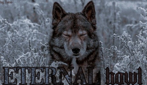 Eternal howl |chapter one
