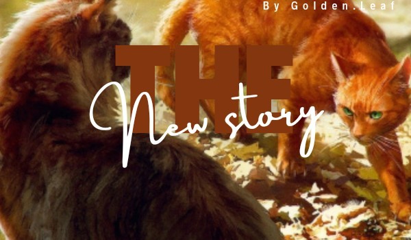 The new story • part one •