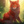 FireStar11