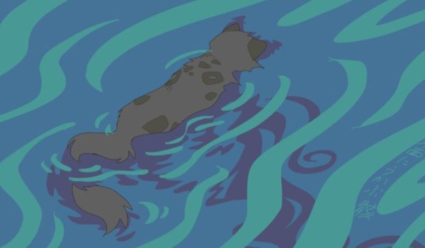 Wyniki rundy pierwszej!