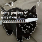 konto_grupowe_o_wszystkim