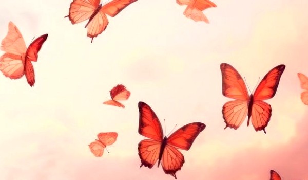 Bitwa książek {zapisy}