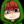 Profix_sigmasticoo
