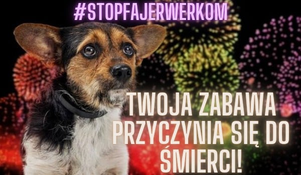 Akcja „ stop fajerwerków „