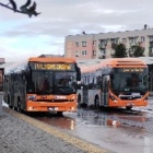 _busiarz