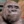 Orangutanos_kabanos