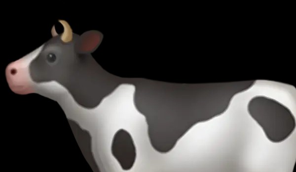 co lubisz najbardziej?