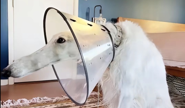 Jak bardzo mn znasz (inny poziom)