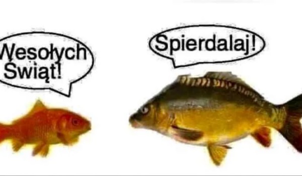 KI MJESTEM Z OSOBOWOSCI HOMOSEKSUALENJ