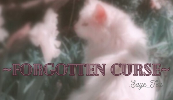 𓇗~Forgotten Curse~𓇗