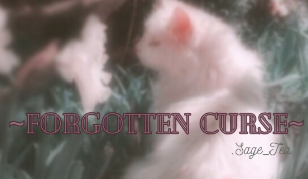 𓇗~Forgotten Curse~𓇗 — rozdział 2