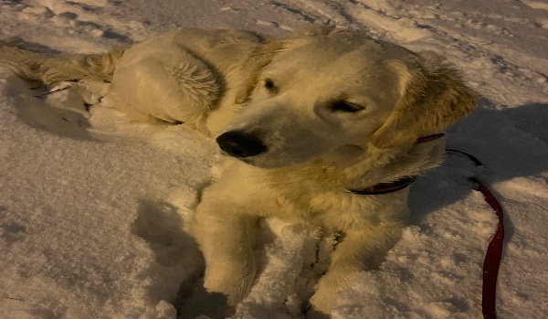 Jak dobrze mnie znasz